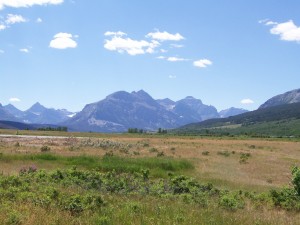 canadian rockies