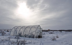 greenhouse in snow