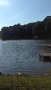 Practicing open water swimming in the lake. No flip turns required.